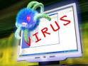 viruses