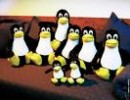 home linux