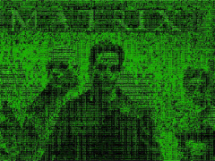 torrents