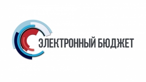 Типичные ошибки «Электронный бюджет»