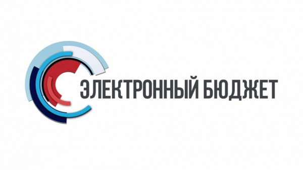 Типичные ошибки «Электронный бюджет»