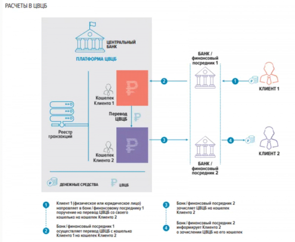 Банк России официально начинает консультации по запуску цифрового рубля