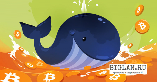 Coinbase: «Киты» скупают Биткоины на фоне падения курса.